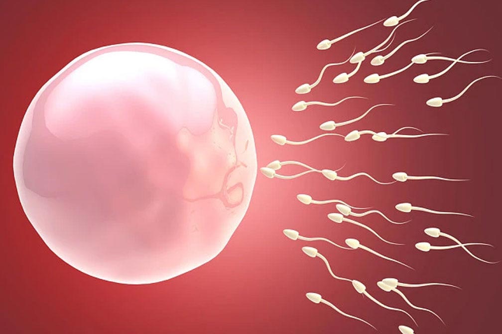 2024第三代试管包生男孩多少费用_2021试管第三代的费用是多少 2024第三代试管包生男孩多少费用_2021试管第三代的费用是多少